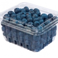 Fresh Fruit And Veg Packaging