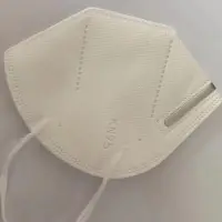 N95 Face Mask