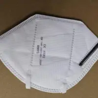 N95 Face Mask