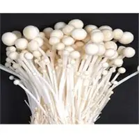 Fresh Enoki Mushroom