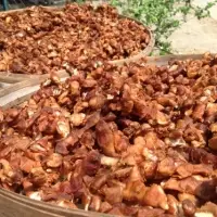 New Crop Tamarind Seedless