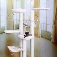 Cat Tree