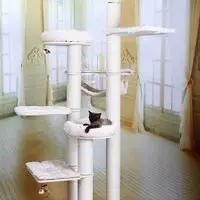 Cat Tree