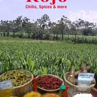 Turmeric