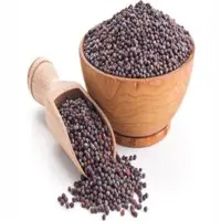 Mustard Seeds