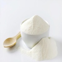 Coconut Milk Powder
