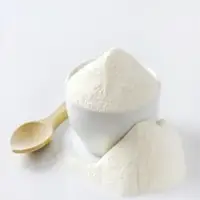 Coconut Milk Powder