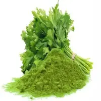 Coriander Leaf Powder