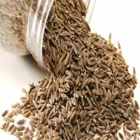 Cumin Seeds