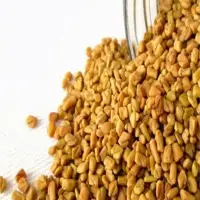 Fenugreek (Dill)