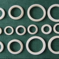 Ceramic Ferrule, Ceramic Rings