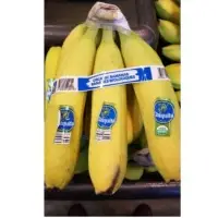 Cavendish Banana