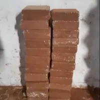 Coco Peat