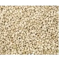 Robusta Parchment Coffee Beans