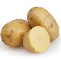 Fresh Potato