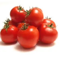 Fresh Tomato
