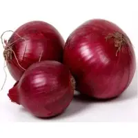 Fresh Red Onion