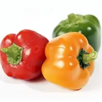 Fresh Capsicum