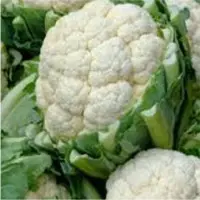 Fresh Cauliflower