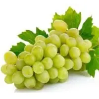Fresh Grapes
