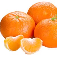 Fresh Orange