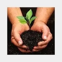Organic Fertilizers