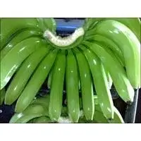 Fresh Banana