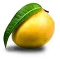 Fresh Mango