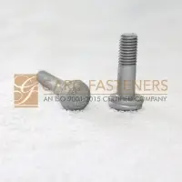 Round Bolts
