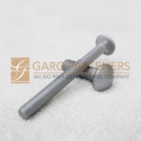 Carriage Bolts