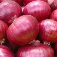 Indian Red Onion