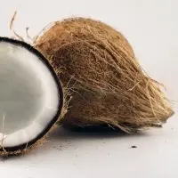 Coconut Semi Husked
