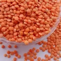 Red Lentils