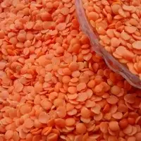 Red lentils Splits