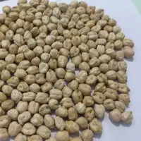 Indian Kabuli Chickpeas