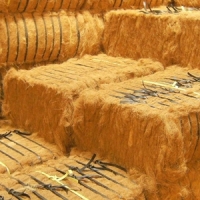 Coir Fiber