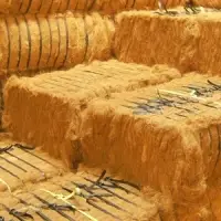 Coir Fiber