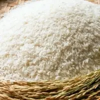 1121 Basmati Rice