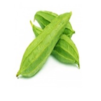 Luffa