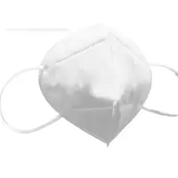 N95 Face Mask