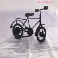 Iron Bicycle