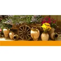 Pot And Cart