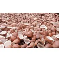 Coconut Copra