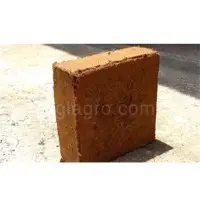 Coco Peat