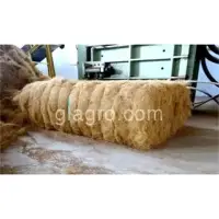 Grade A Coco Fiber
