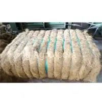 Grade B Coco Fiber