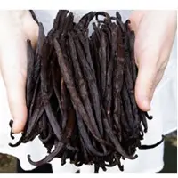 PlAnifolia Dry Extract Vanilla Beans