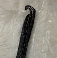 Vanilla Tahitensis