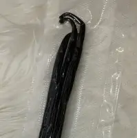 Vanilla Tahitensis