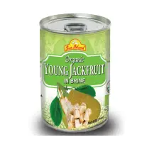 Young Jackfruit In Brine